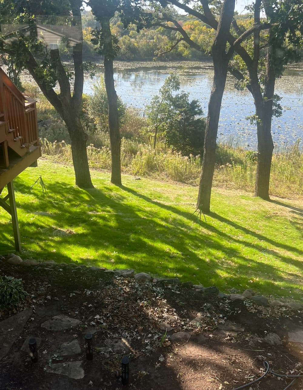 Scenic view of a tranquil lake surrounded by trees and lush green grass.