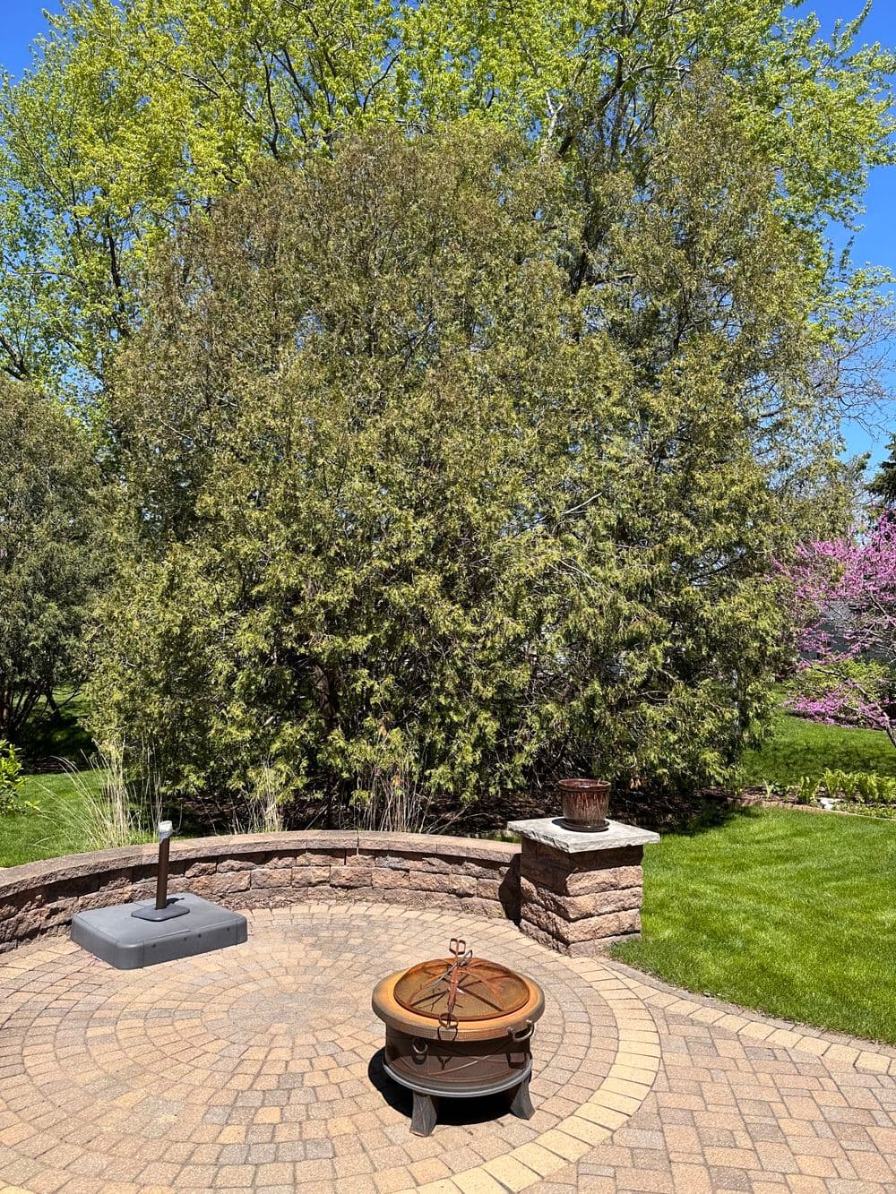 Patio with a fire pit surrounded by lush greenery and blooming trees on a sunny day.