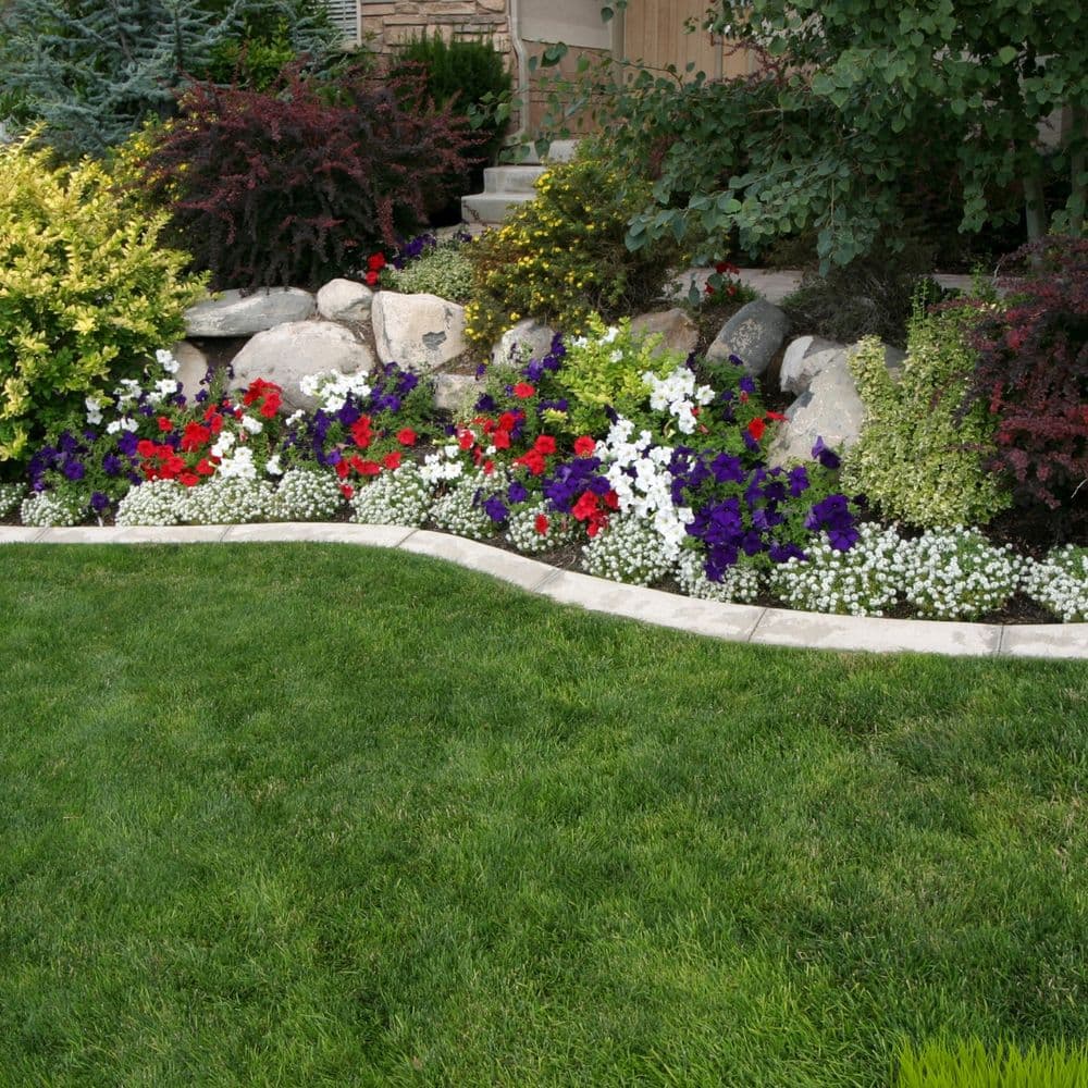 Vibrant flower garden with colorful blooms and lush greenery along a stone border.