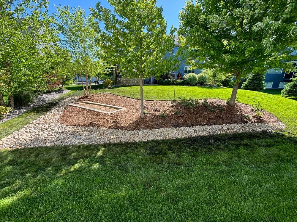 Lush landscaped garden with trees, mulch, and decorative stones under a clear blue sky.