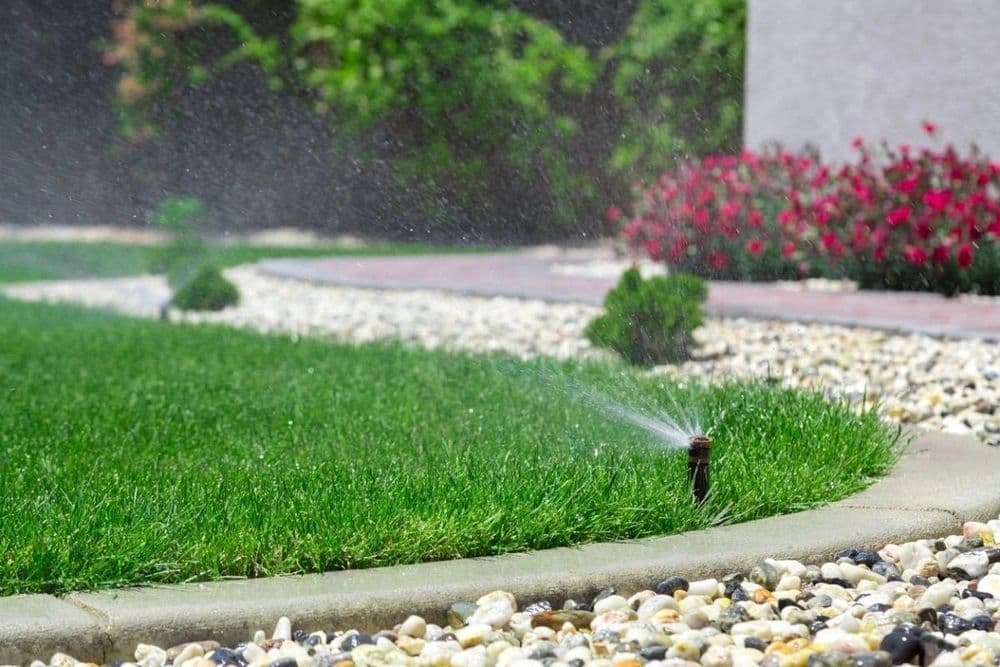 Lawn sprinkler watering green grass in a landscaped garden with flowerbed and gravel path.